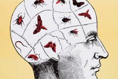 «Une folie», affiche signée Adam, 1986